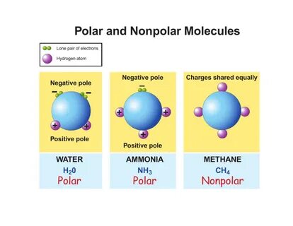 Pcl5 Polar Or Nonpolar : Is SF4 consided polar or nonpolar? 