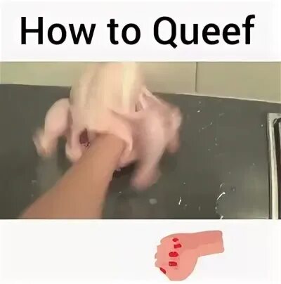 Search queef Memes on ME.ME