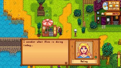 stardew valley gift guide gift ftempo stardew valley stardew