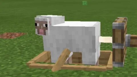 Sheep Torture Machine Minecraft - YouTube
