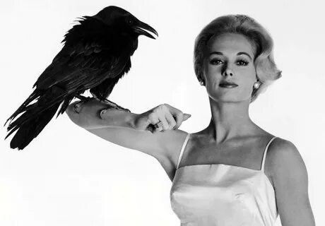 Фильм "Птицы" (1963) - сюжет, актеры и роли, кадры из фильма