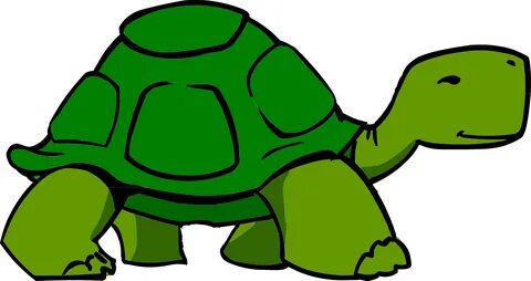 Green green turtle drawing free image download