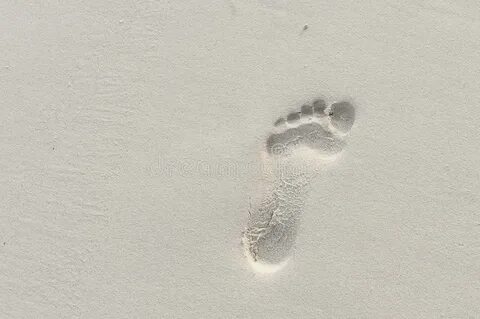 Footprint in sand stock image. Image of drawn, seaside - 440