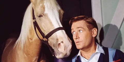 Photographic Images MIster Ed With Alan Young and Connie Hin