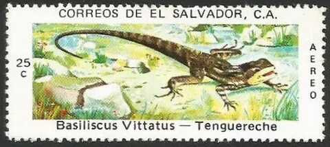Stamp: Tenguereche (1253) 25 centavo of El Salvador America