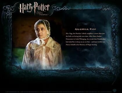 Character Profile Harry potter, Character profile, Hogwarts 