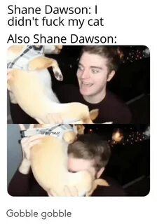 Shane Dawson I Didn't Fuck My Cat Also Shane Dawson Uthymear