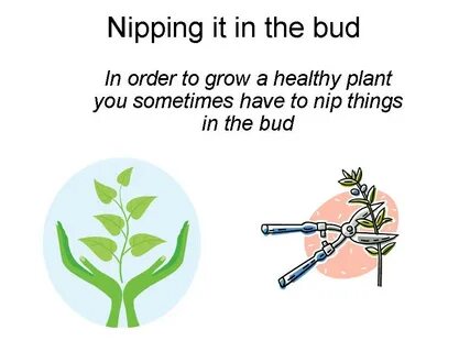 Nip It In The Bud / Let S Nip Litter In The Bud Trash Talk D