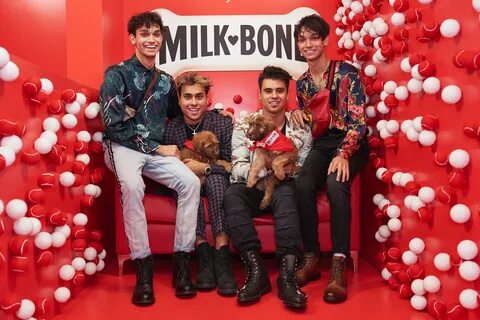 Dobre Brothers Pictures posted by Zoey Anderson