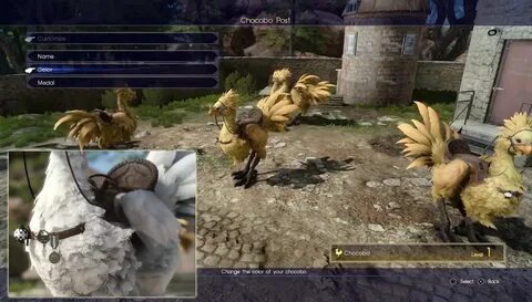 Final Fantasy XV Chocobos - Everything You Need to Know