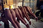 Попы дерутся (78 фото) - Порно фото голых девушек