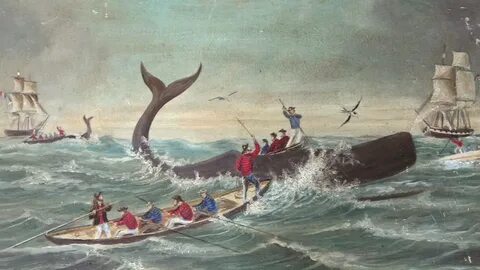 Plundering and Poaching: Tasmania's Whaling History - YouTub