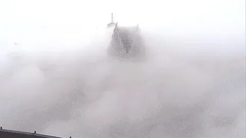 Fog foggy GIF - Find on GIFER