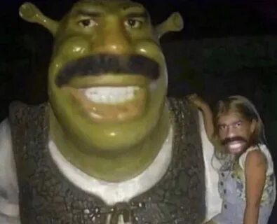 meme shrek steveharvey funny 318140547270201 by @meme-stash