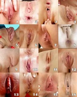 Favorite Pussy Type Part Iii Page Literotica My XXX Hot Girl