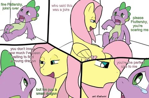 Fluttershy X Spike My Little Pony: Friendship is Magic Know 