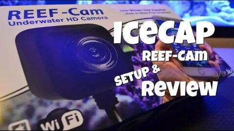 The IceCap Reef Cam Review and Setup - YouTube