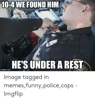 🐣 25+ Best Memes About Funny Police Funny Police Memes