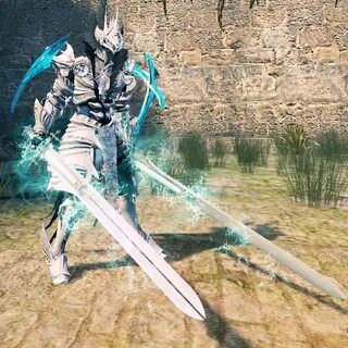 Paladin: 2nd Transformation - Official Vindictus Wiki