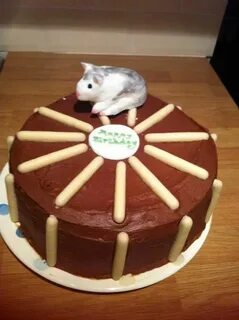 Hamster cake Cake, Confectionery, Desserts
