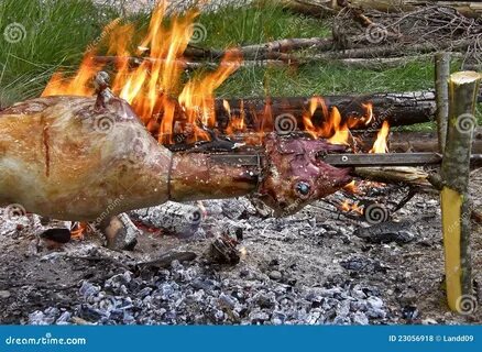 Understand and buy campfire spit roast cheap online