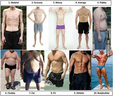 Which is your current bodytype? - /fit/ - Fitness - 4archive