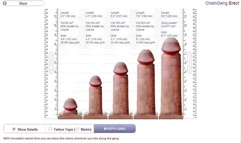 Penis Size Comparrison Pics Xhamster My XXX Hot Girl