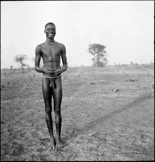 Dinka Tribe: History, Culture, and Facts Only Tribal