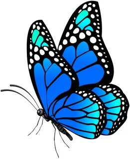 Butterfly Blue PNG Clip Art Image Gallery Yopriceville - Hig