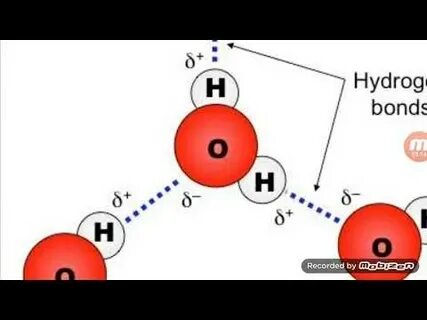 Liquids L-3 Hydrogen Bonding - YouTube