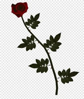 Free download Long Stem Red Rose, red rose flower, png PNGEg