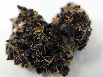 Blackberry Kush Cannabis Strain Information ISMOKE Review - 
