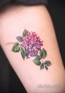 Фото татуировки цветок гортензия 31.03.2021 № 043 - tattoo hydrangea - tatu...