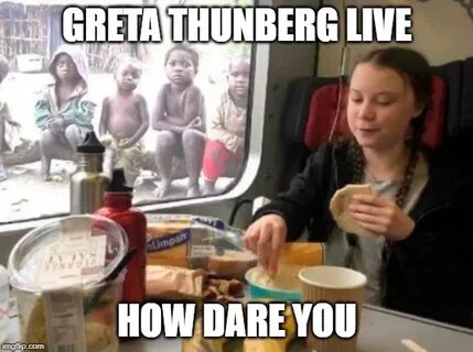 Greta Thunberg Memes (@SottoNoah) Twitter (@SottoNoah) — Twitter