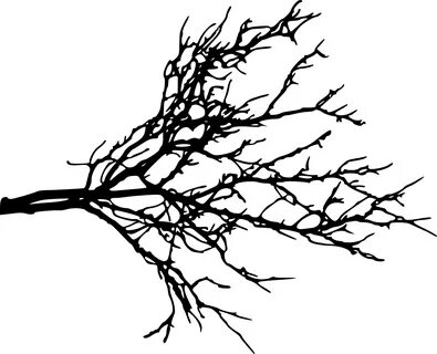 15 Tree Branch Silhouettes (PNG Transparent) OnlyGFX.com