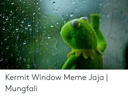 Kermit Window Meme Jaja Mungfali Meme on ME.ME