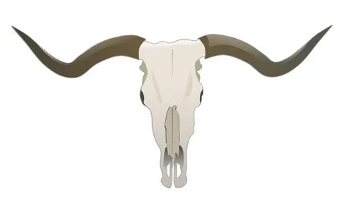 Longhorn Skull Vector Related Keywords & Suggestions - Longh