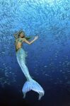 Under the Sea With Real Life Mermaid Hannah Fraser Real life
