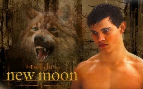 Jacob Black Wallpapers (62+ background pictures)