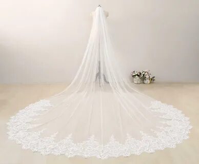 Celestial Champagne Lace Bridal Veil, Floral Lace Bridal Vei