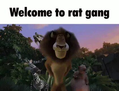 Rat Gang Alex GIF - Rat Gang Rat Gang - Descubre & Comparte 
