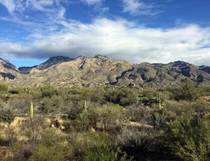 Catalina foothills marching band