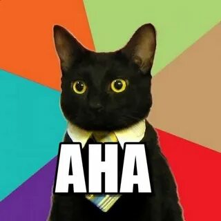 aha meme - Szukaj w Google Business cat, Business cat meme, 
