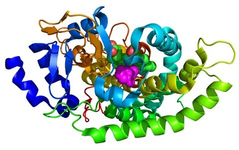 File:PDB 5NCB.png - Wikimedia Commons
