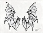 Bat Wings Drawing at PaintingValley.com Explore collection o