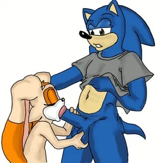 Sonic hedgehog porn gifs - 8/33 - Hentai Image