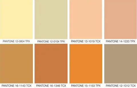 pantone color tan peach Share Pantone color, Color, Pantone