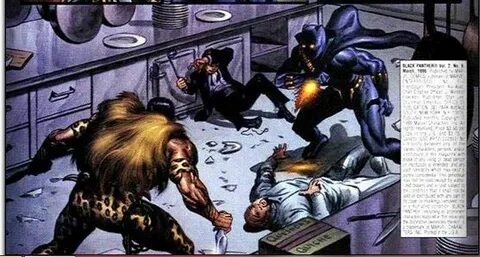 Black Panther Discussion and Appreciation: Black Panther vs 