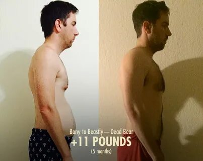 The Skinny-Fat Workout & Diet Guide - Bony to Beastly