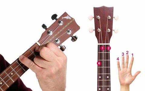 Ukulele F# 7 Chord - Ukulele accordo di Fa# 7 - Uke for All